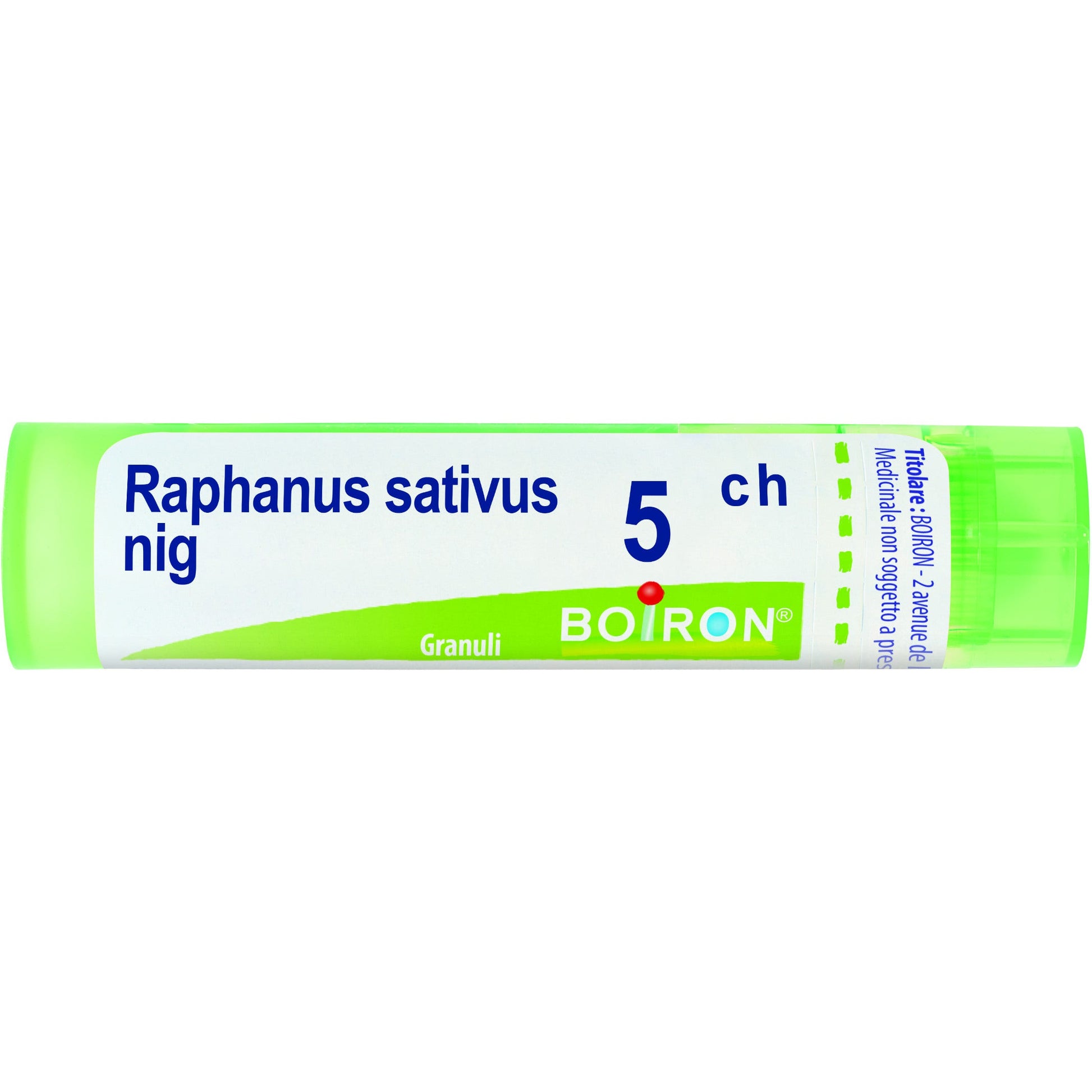 Raphanus sat boi 5ch 80gr 4g