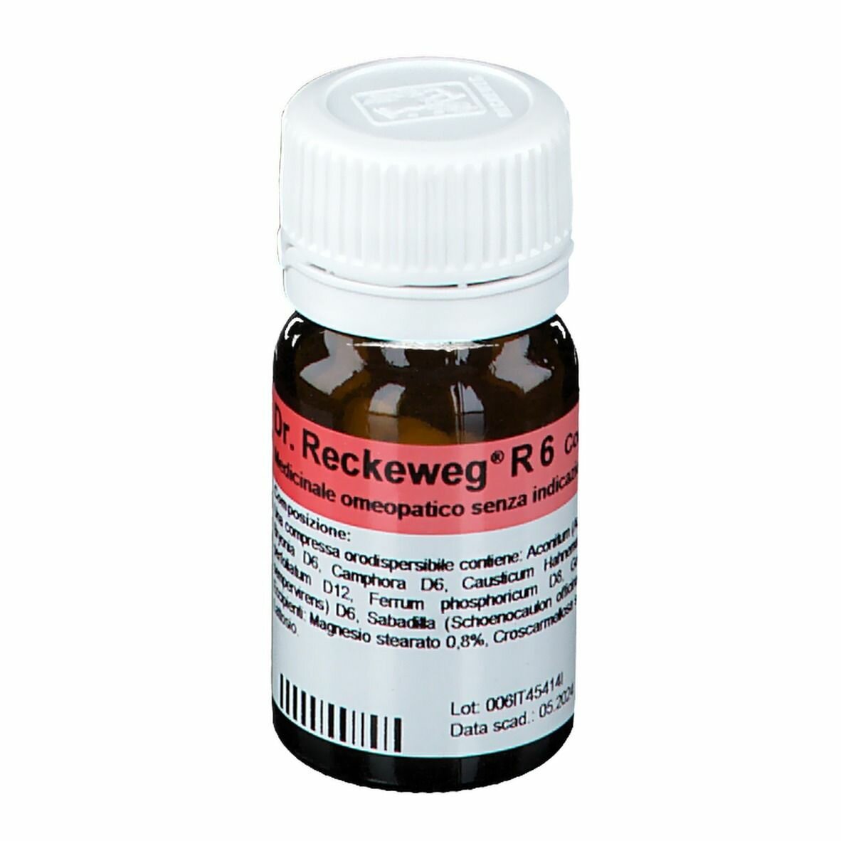 Reckeweg r6 100 compresse