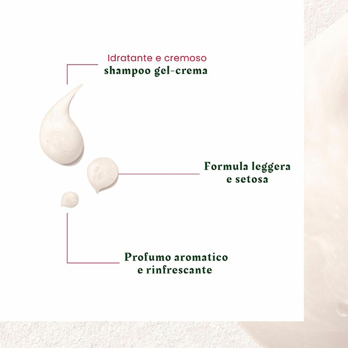 René Furterer Neopur Microbiome Expert Shampoo Antiforfora 150 ml