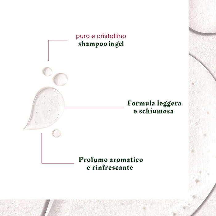 Rene Furterer Neopur Shampoo Equilibrante Forfora Grassa 150 ml