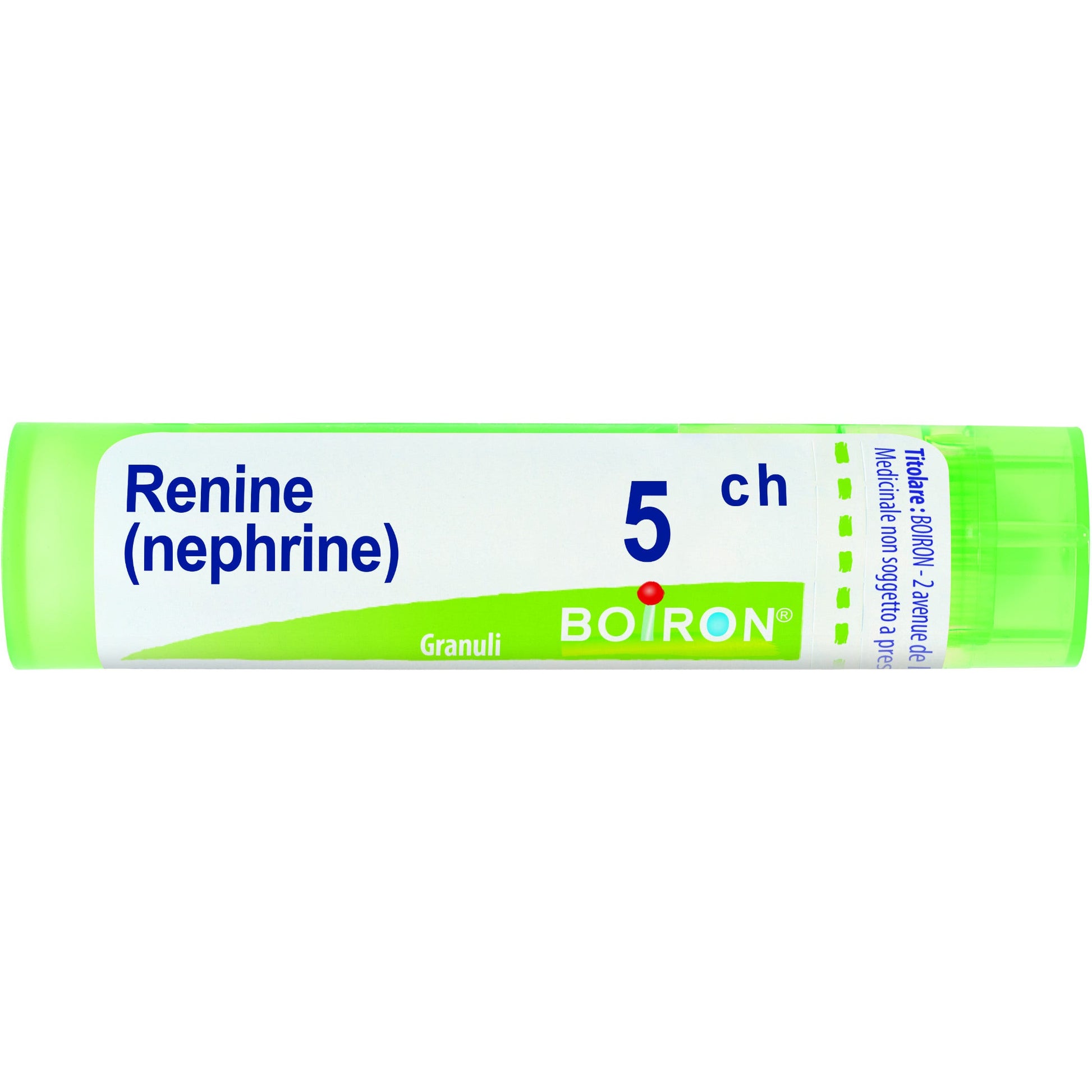 Renine 5ch gr