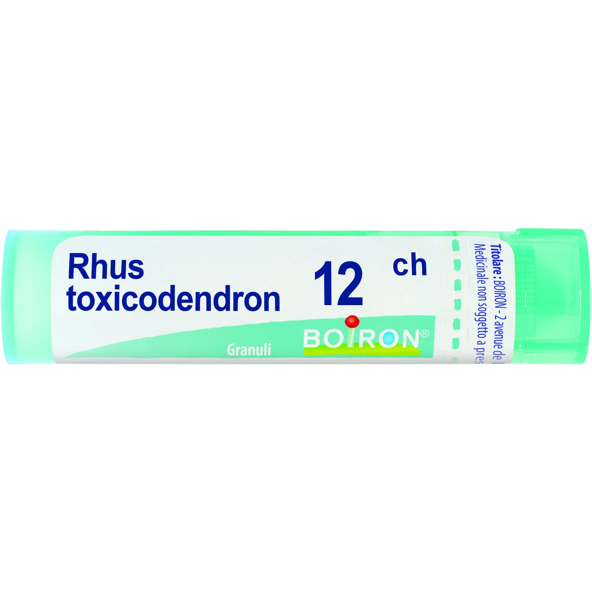 Rhus toxicod boi 12ch 80gr4g