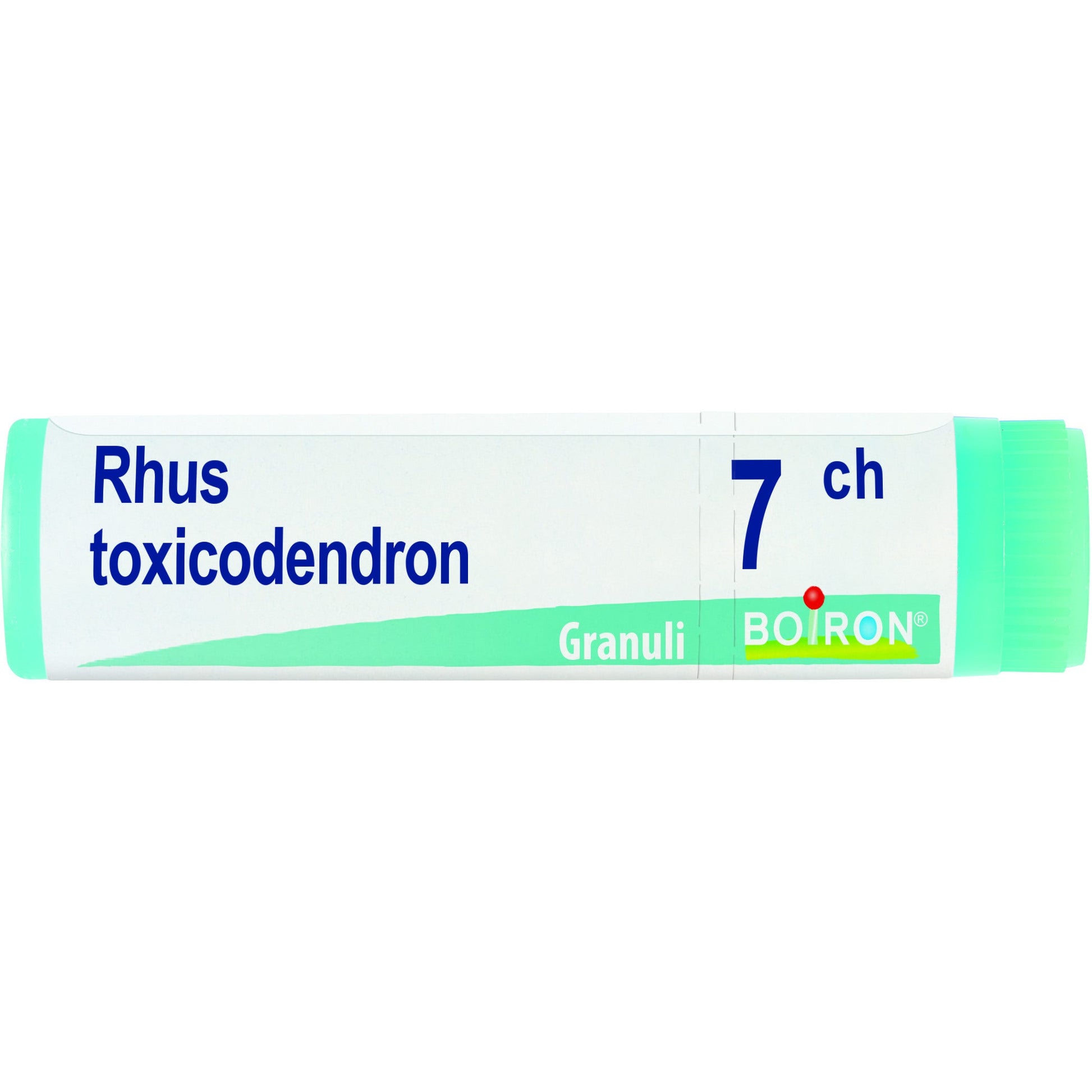 Rhus toxicod boi 7ch gl 1g