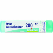 Rhus toxicodendron 200ch 80gr
