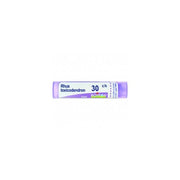 Rhus toxicodendron 80 granuli 30 ch contenitore multidose