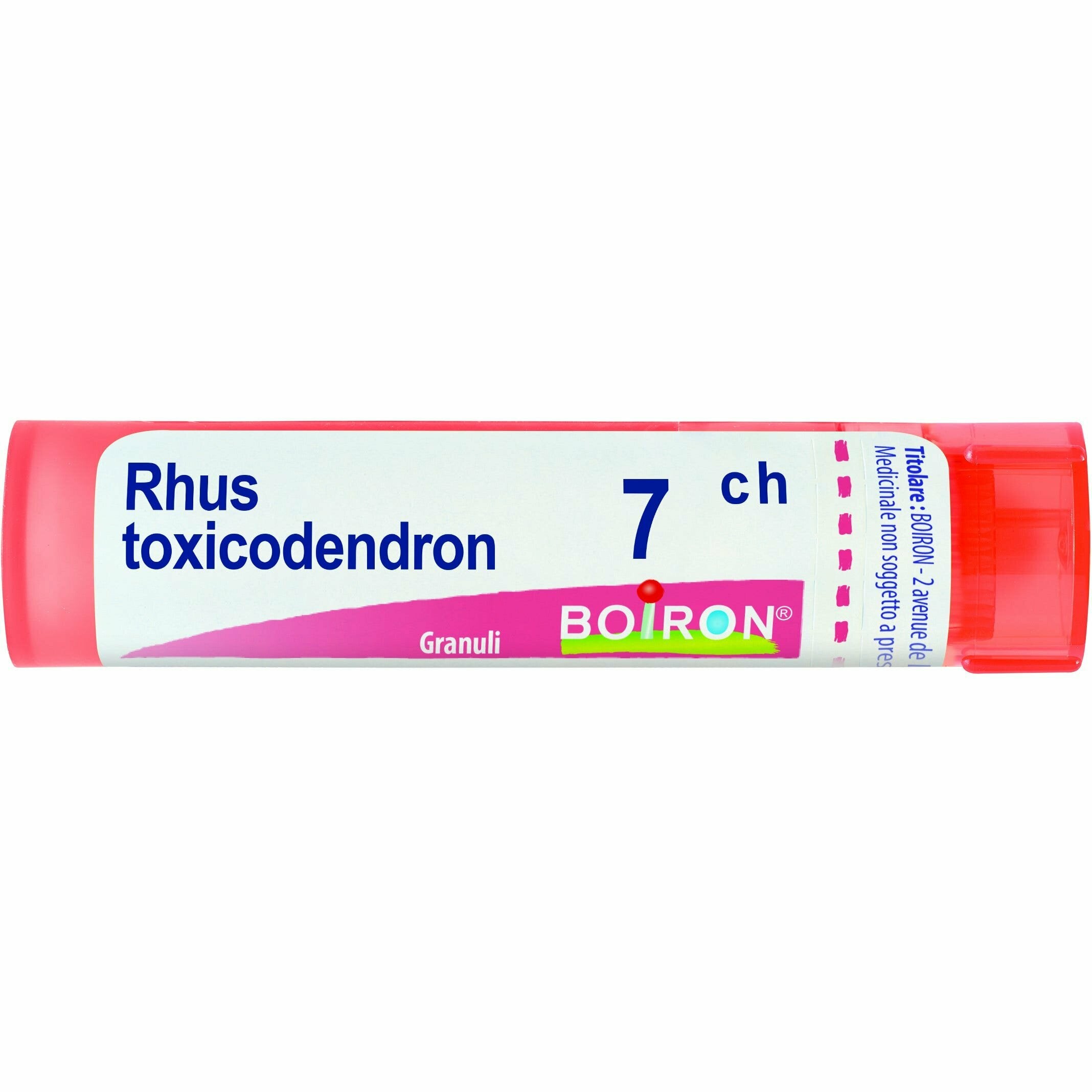 Rhus toxicodendron 80 granuli 7 ch contenitore multidose