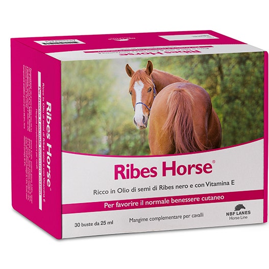 Ribes horse 30 bustine