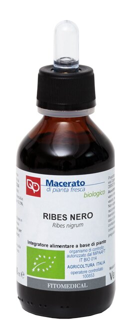 Ribes nero bio tintura madre soluzione idroalcolica 100 ml