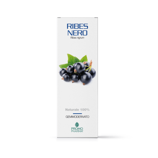 Ribes nero gd 100ml