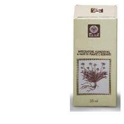 Ribes nero gemme 50ml