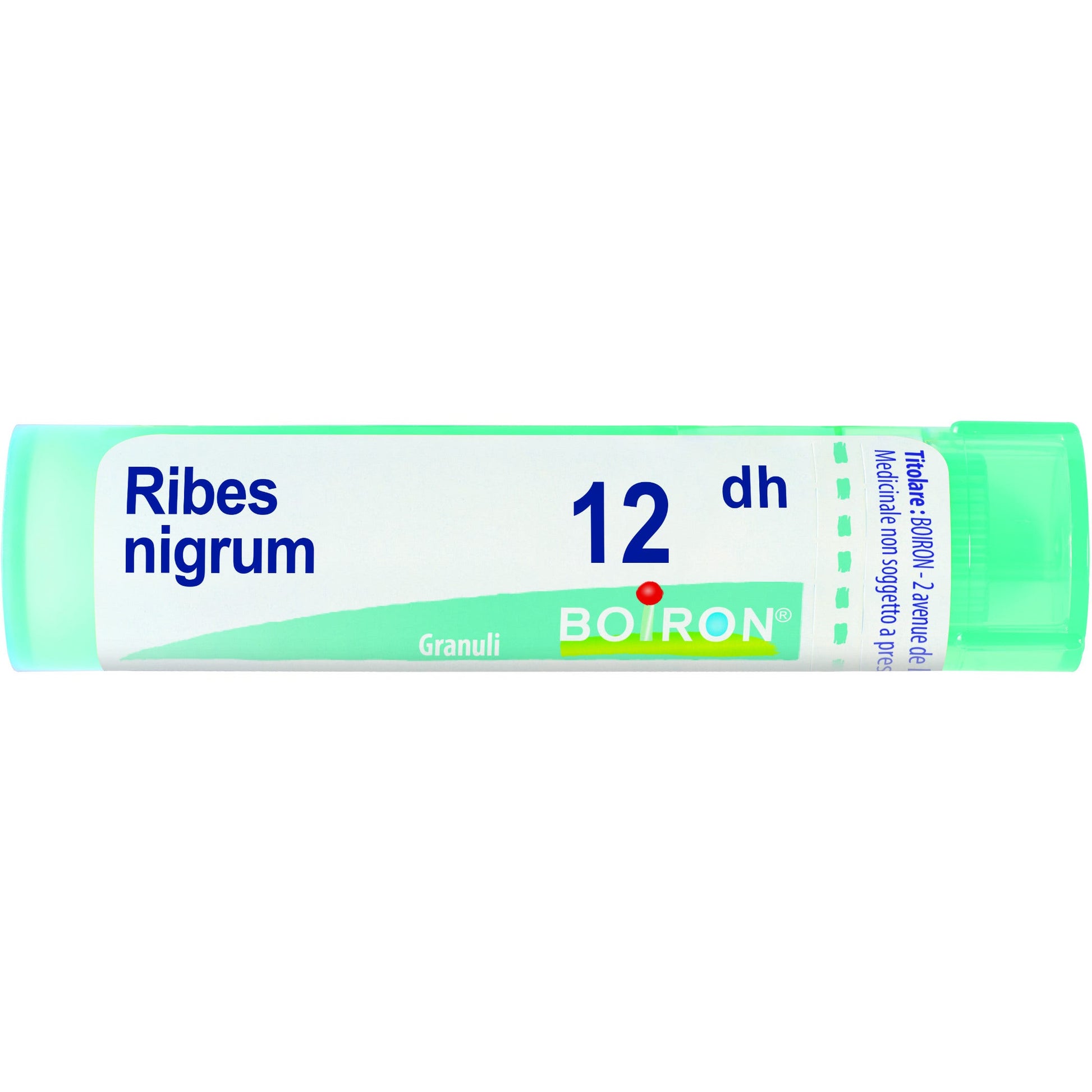 Ribes nigrum 12dh gr