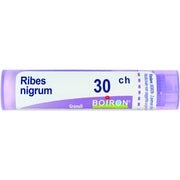 Ribes nigrum 30ch gr