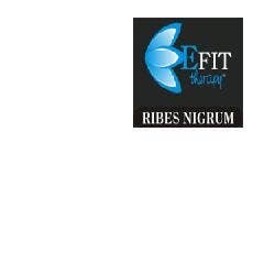 Ribes nigrum ef 30ml