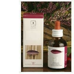 Ribes nigum 50ml stv