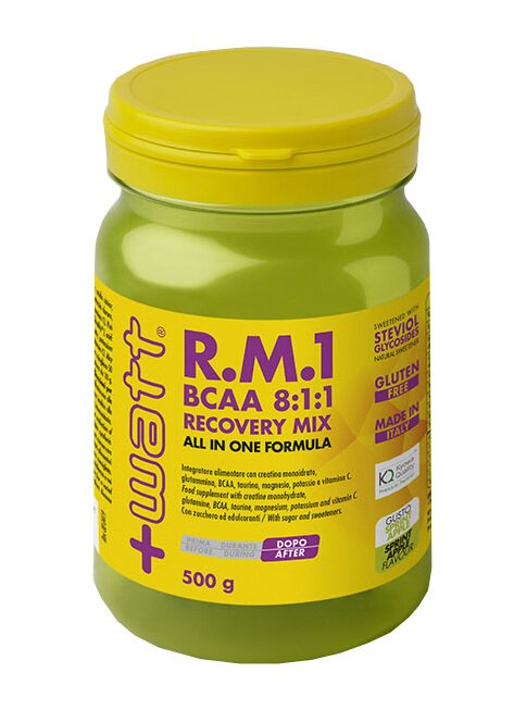 Rm1 bcaa 8:1:1 recovery mix all in one formula 500 g gusto sprint apple