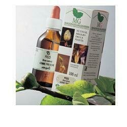Rosmarino macerato glicerico 100 ml