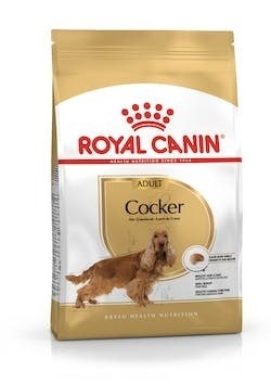 Royal canin cocker adult cibo secco per cani 3kg