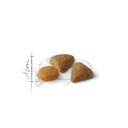 Royal Canine Exigent 35/30 Mangime Secco Gatto 400 Gr