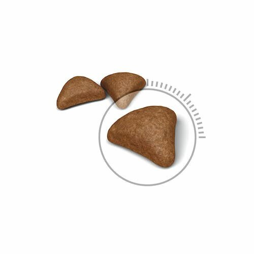 Royal Canine Intense Hairball Mangime Secco Gatti 400g
