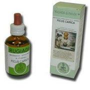 Rugiada ficus carica 50ml