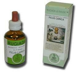 Rugiada ficus carica 50ml