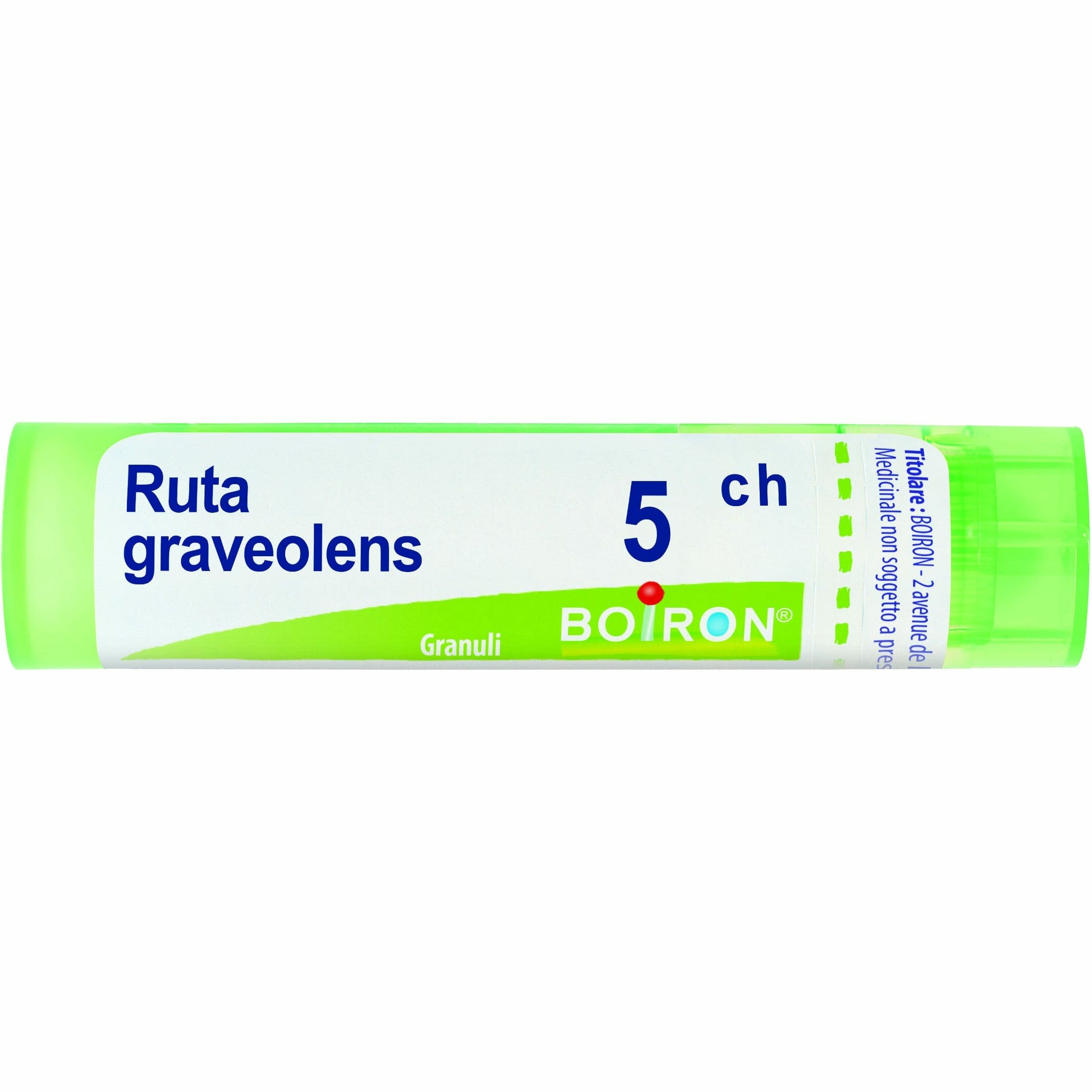 Ruta graveolens 80 granuli 5 ch contenitore multidose