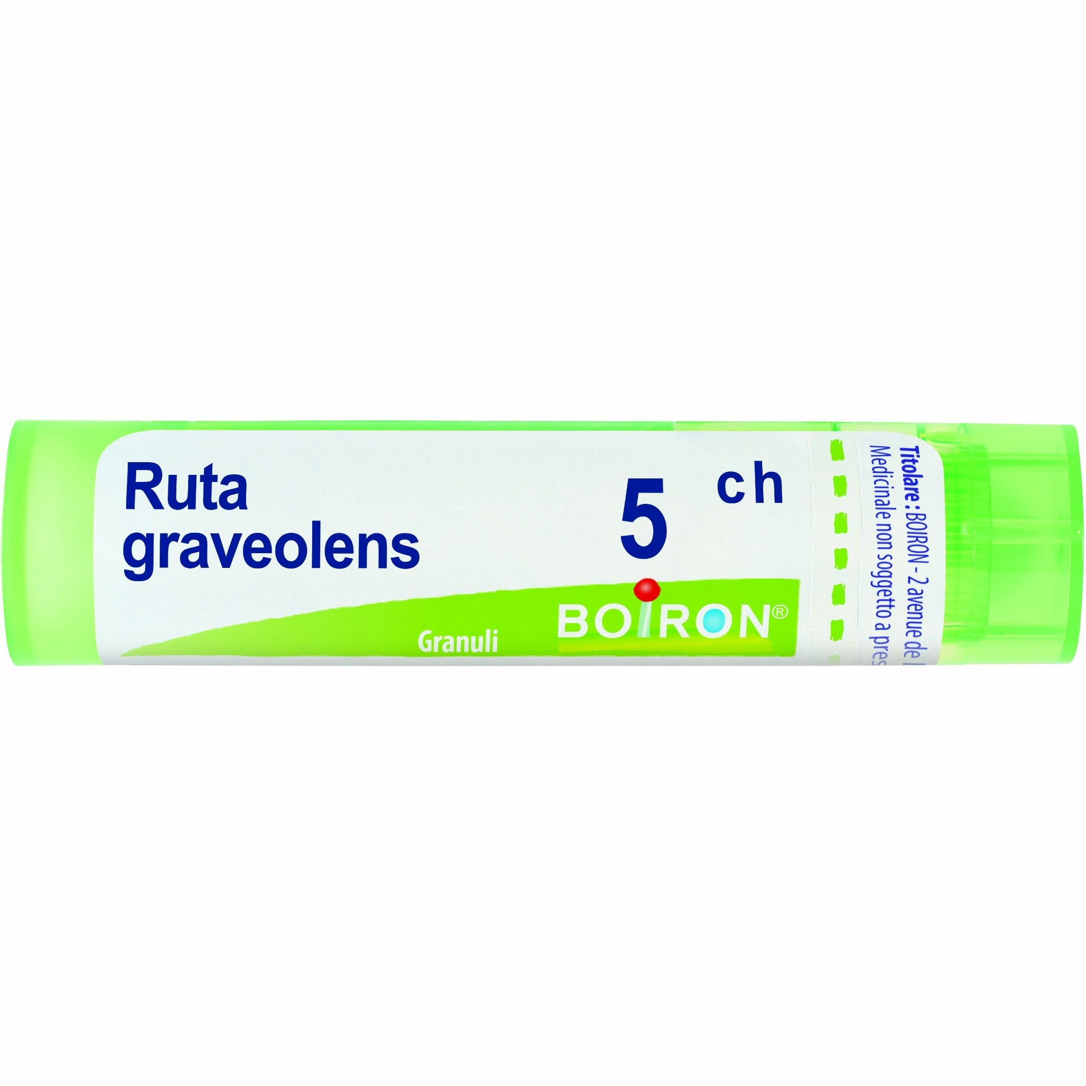 Ruta graveolens 80 granuli 5 ch contenitore multidose