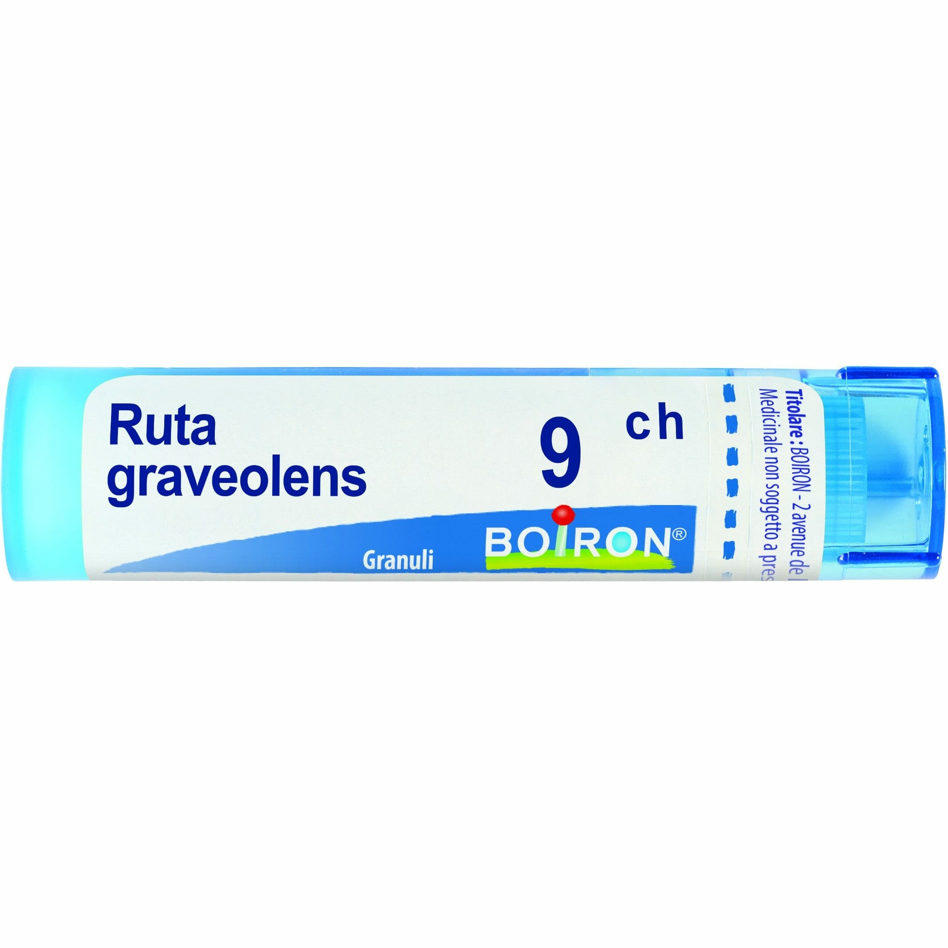 Ruta graveolens 80 granuli 9 ch contenitore multidose