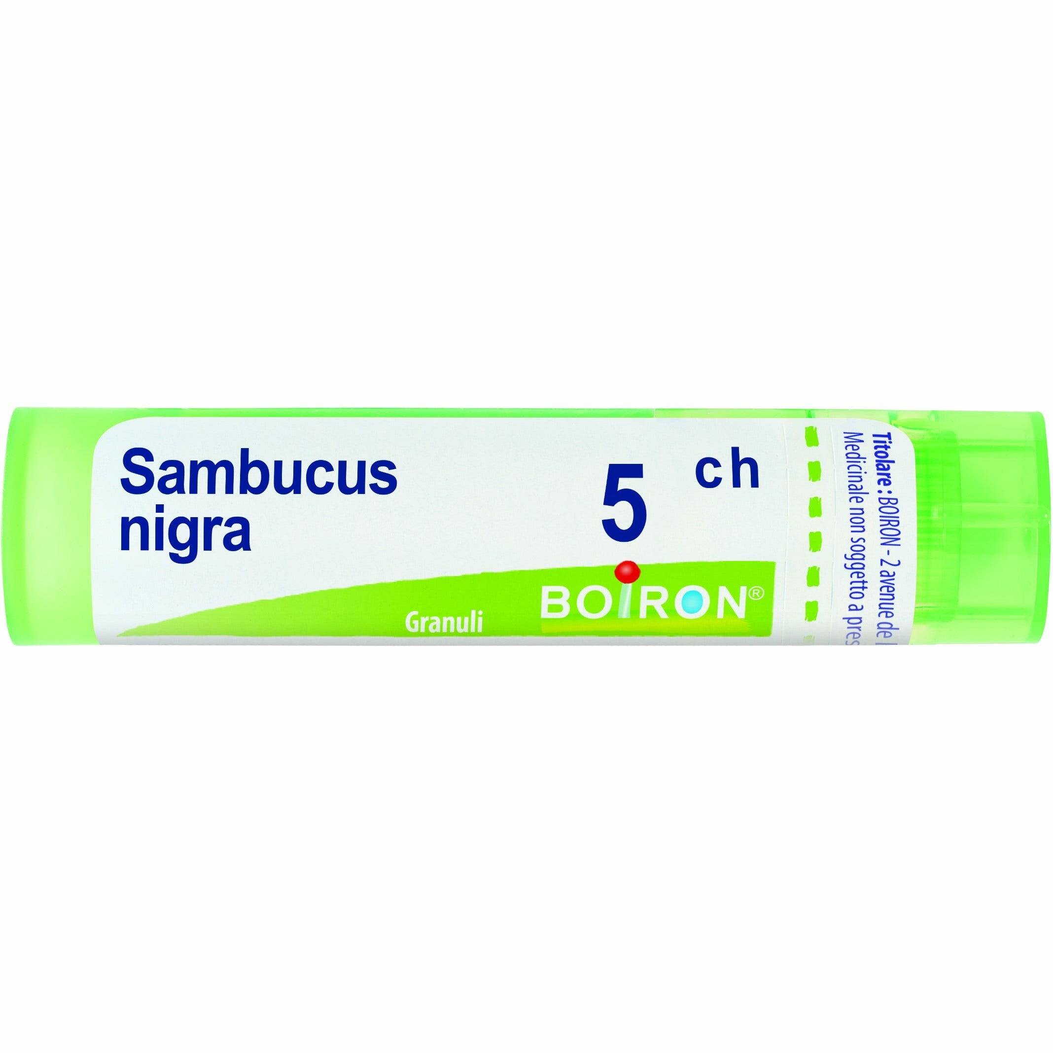 Sambucus nigra 5 ch granuli 1 contenitore multidose 4 g (80granuli)