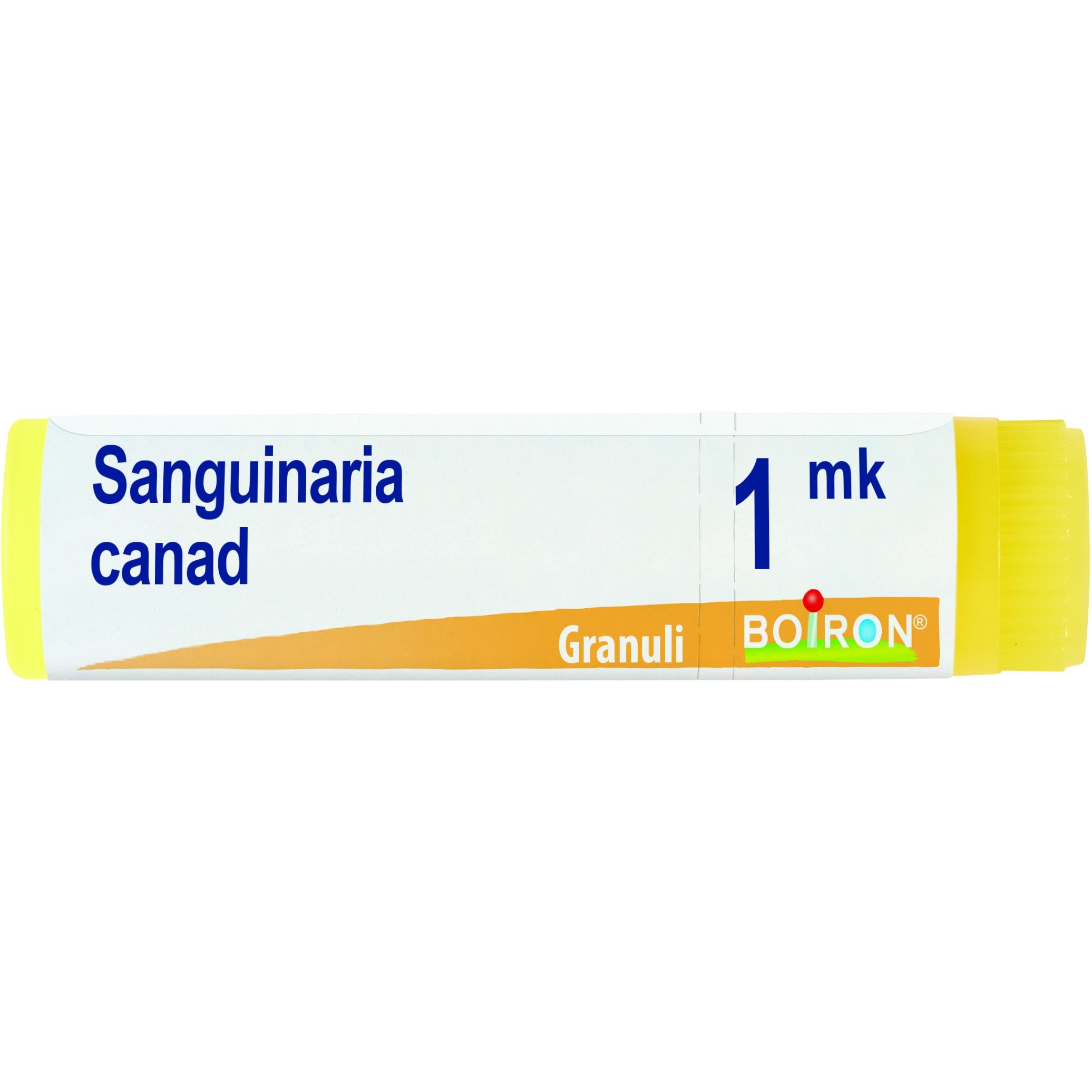 Sanguinaria c boi 1000k gl 1g