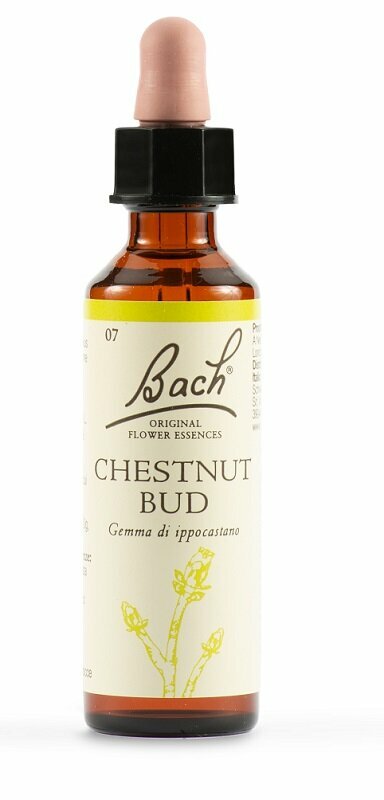 Schwabe Fiori di Bach 07 Chestnut Bud Gocce 20 ml
