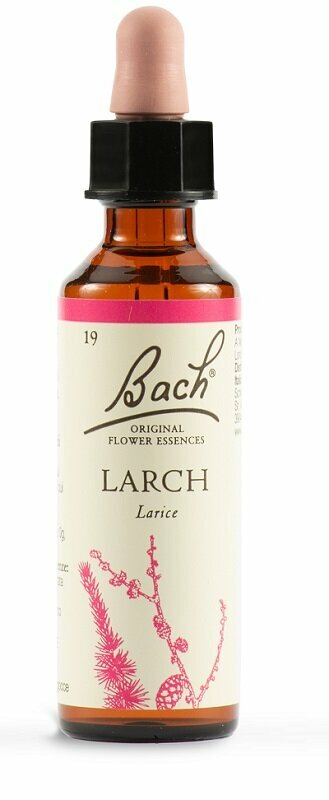 Schwabe Fiori di Bach Larch 19 Gocce 20 ml