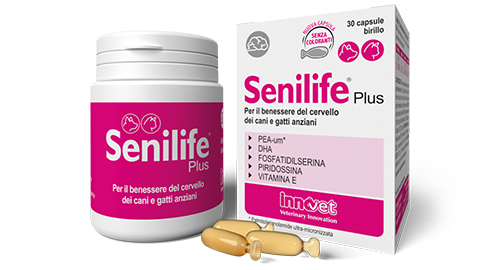 Senilife Plus Benessere Cerebrale di Cani e Gatti 60 Capsule