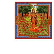 Shamak gocce 30 ml