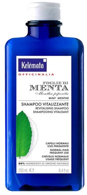 Shampoo menta 250ml