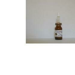 Sidea staminali uva siero concentrato 10 ml