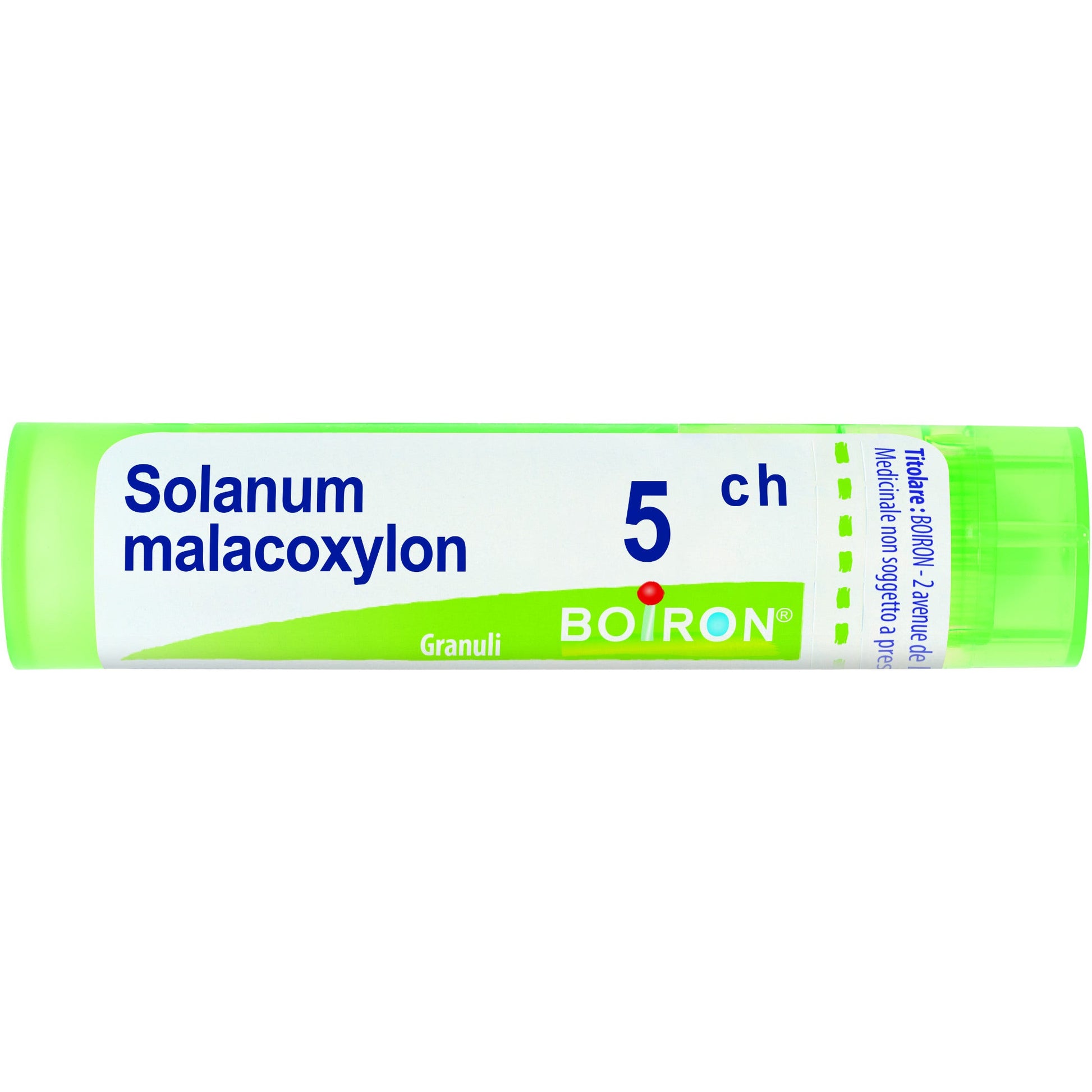 Solanum malacoxilon 5ch gr