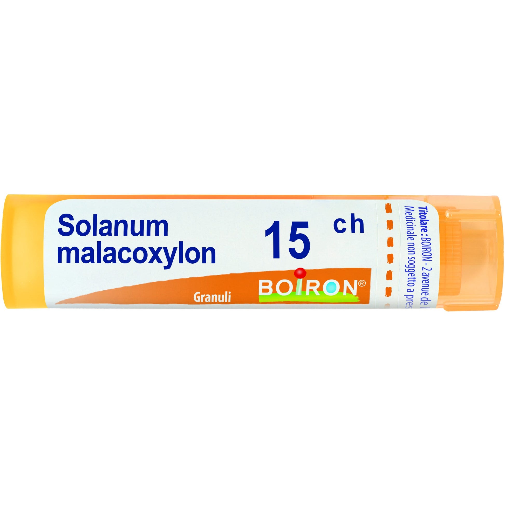 Solanum malacoxylon 15ch gr
