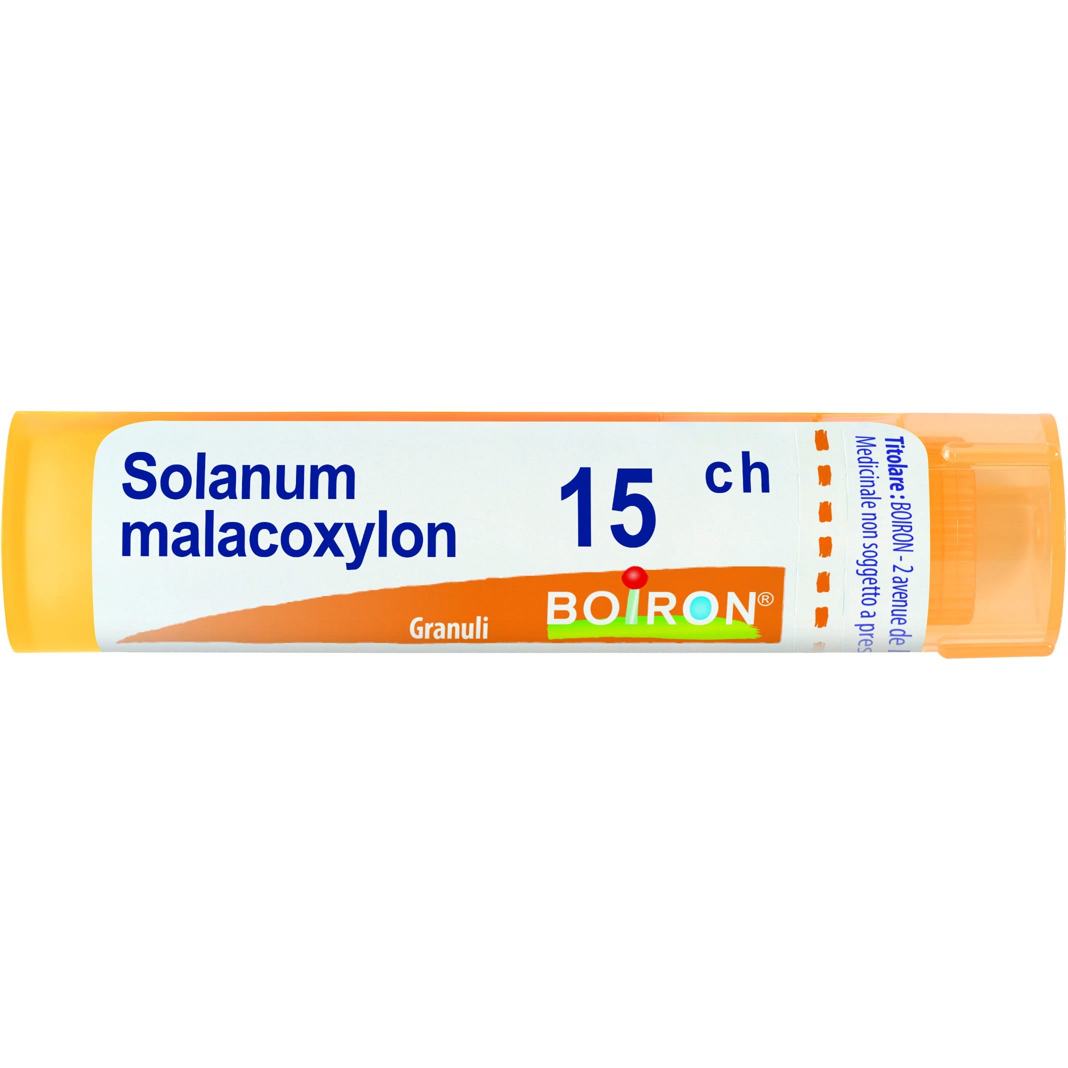 Solanum malacoxylon 15ch gr