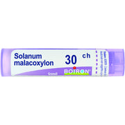 Solanum malacoxylon 30ch gr