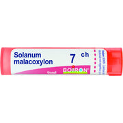 Solanum malacoxylon 7ch gr