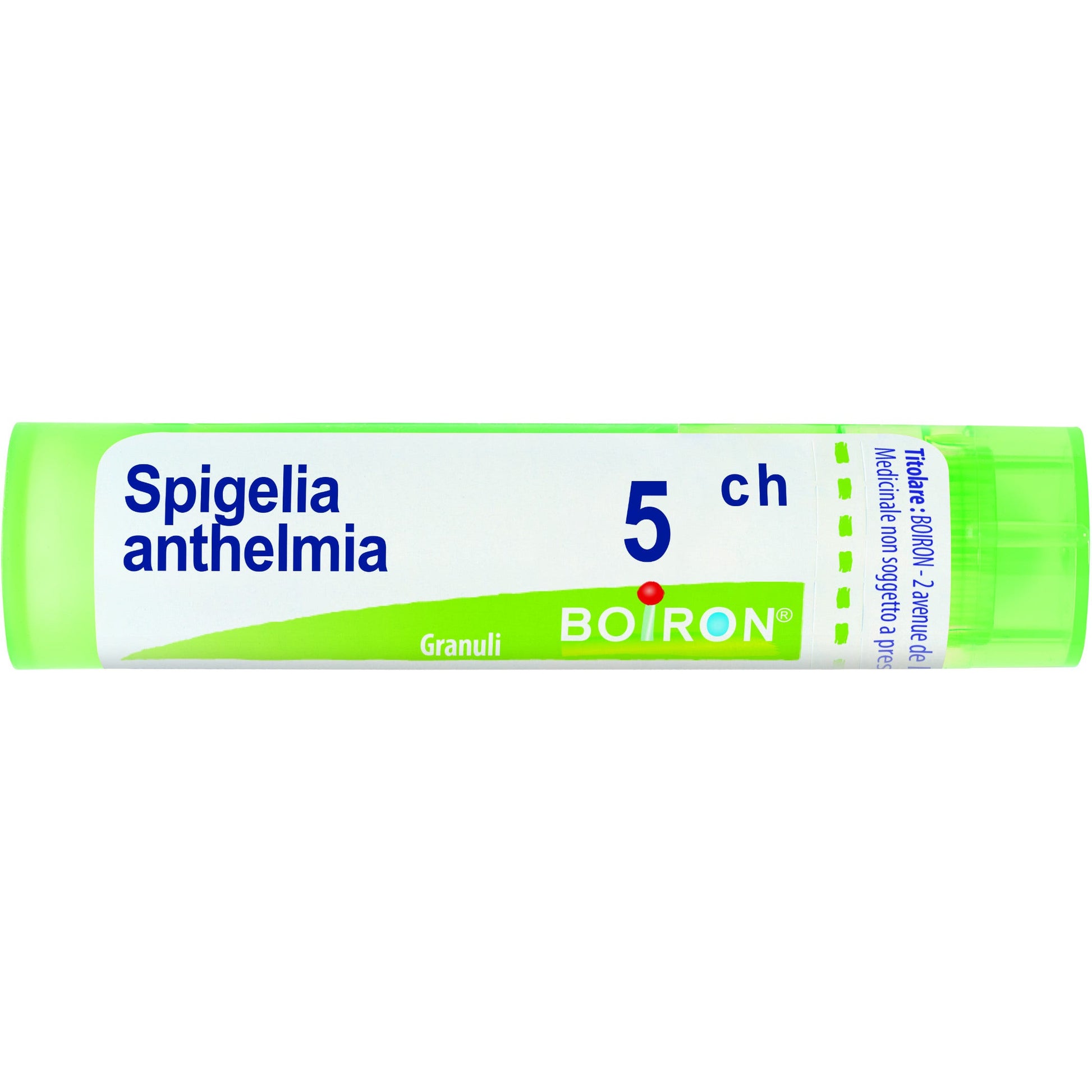 Spigelia anth boi 5ch 80gr 4g