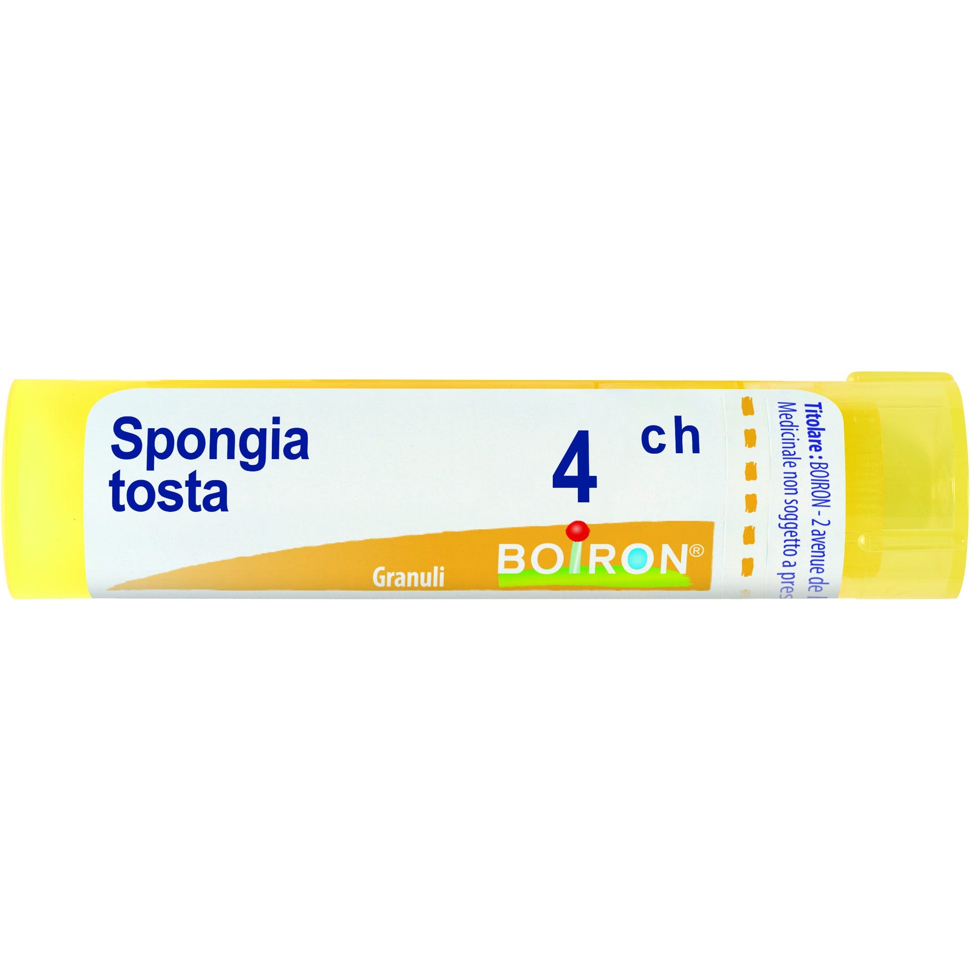Spongia tost 4ch gr