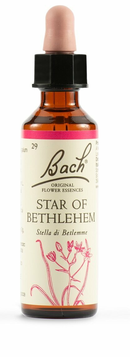 Star of bethl original 20 ml