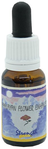 Strength essenza 15 ml 1 pezzo
