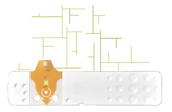 Strisce misurazione glicemia linea d oro 25 pezzi