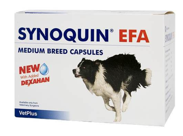 Synoquin efa medium breed 30 compresse