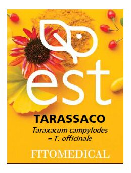Tarassaco estratto secco 60 tavolette