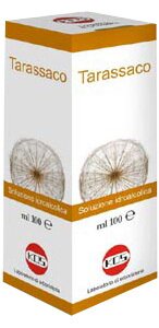 Tarassaco soluzione idroalcolica pianta fresca 100 g