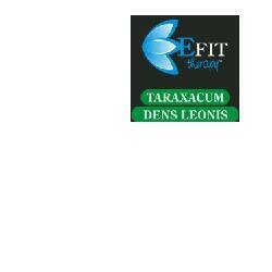 Taraxacum dens leo estratto fluido 30 ml